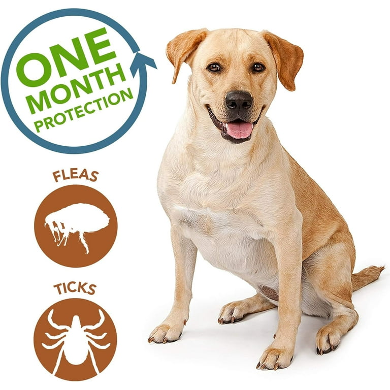 Top flea cheap prevention for dogs