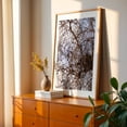 thumbnail image 2 of Untitled - Portland Oregon Photography Abstract Nature Botanical Woodland Woods Scenic Minimalist Oak Framed Wall Art Print 12 x 18 inches, 2 of 59
