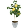 thumbnail image 4 of Northlight Artificial Potted Mini Lemon Tabletop Tree - 20", 4 of 6