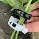 thumbnail image 5 of Promotion!Maojin Clip de plástico seguro para plantas, clips de plástico, clips de soporte para plantas, clips de fijación para plantas de tomate, uva, vid, verduras (100, negro), 5 of 8