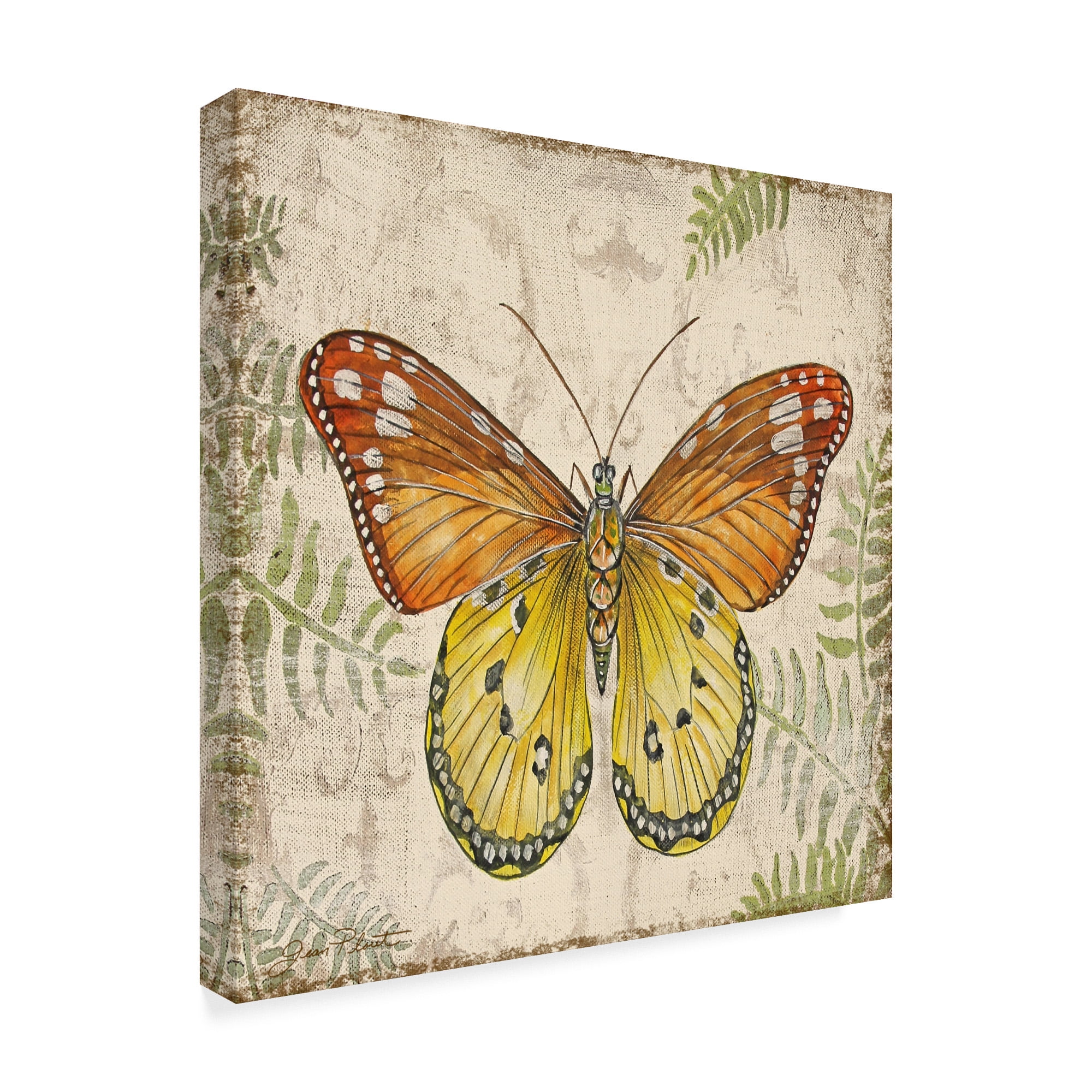 Trademark Fine Art 'Butterfly Daydreams 3' Canvas Art by Jean Plout