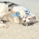thumbnail image 4 of Juguete masticable con forma de hierba gatera para perros y gatos | Peluche interactivo de madera de matatabi resistente para limpiar los dientes | Resistente a las roeduras | Quemador de energía |, 4 of 5