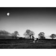 thumbnail image 2 of Henson, Martin 18x15 Black Ornate Wood Framed with Double Matting Museum Art Print Titled - Evening Light IV, 2 of 4