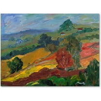 Trademark Fine Art "Rainbow Forest" Canvas Art by Manor Shadian