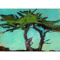 thumbnail image 3 of Bailey, Paul 18x14 Black Modern Framed Museum Art Print Titled - Cypresses, 3 of 5