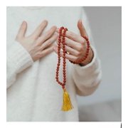 5 Mukhi Rudraksha Mala -10mm Rudraksha Japa Mala for Men and Women-108+1 Beads