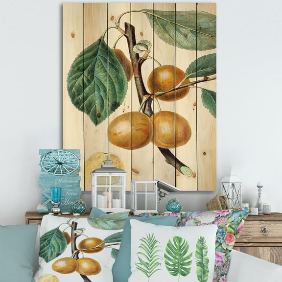 Designart 'Ancient Fruits II' Farmhouse Print on Natural Pine Wood