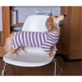 thumbnail image 3 of UOSIA Dachshund Dog Shirt, Thin Striped Base Layer Onesie for Dogs, Lightweight Soft & Comfy Fit for Mini Dachshund, 3 of 7