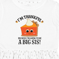 thumbnail image 4 of Inktastic Thanksgiving Big Sis Announcement Girls Toddler Dress, 4 of 5