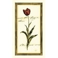 thumbnail image 2 of Vision Studio 15x24 White Modern Wood Framed Museum Art Print Titled - Jens Tulip I, 2 of 4