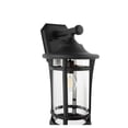 thumbnail image 2 of Quorum Haley 1-Light Outdoor Ceiling Mount - Textured Black - 718-18-69, 2 of 2