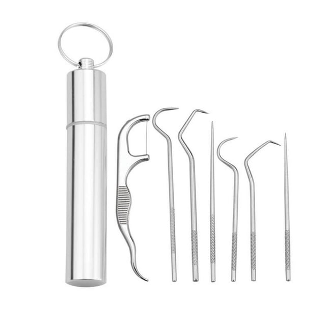 1 Set Metal Toothpick High Durability Rust-proof Stainless Steel Metal Portable Toothpick Flosser with Storage Case Set for Home