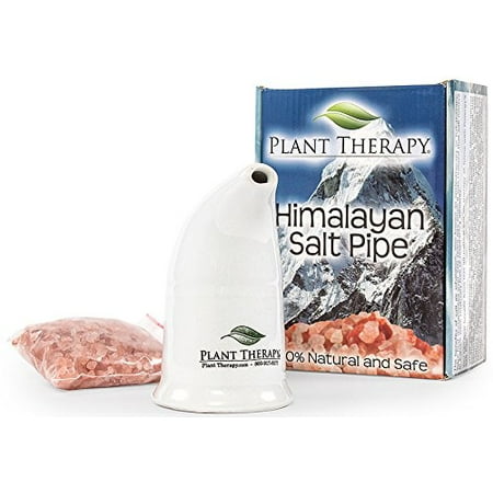 Plant Therapy Pink Himalayan Salt Inhaler w/ Pink Himalayan Crystal (Best Personal Steam Inhaler For Singers)