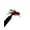 Red, variant on Tailwater Supply Amy’s Ant Fly - Size 12 - Olive - 6 Pack