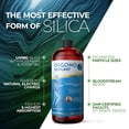 thumbnail image 4 of Orgono - G5 Siliplant Maximun Strength Silica - 33.85 fl. oz., 4 of 6