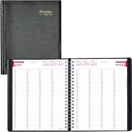rediform brownline 2016 daily professional appointment book twin