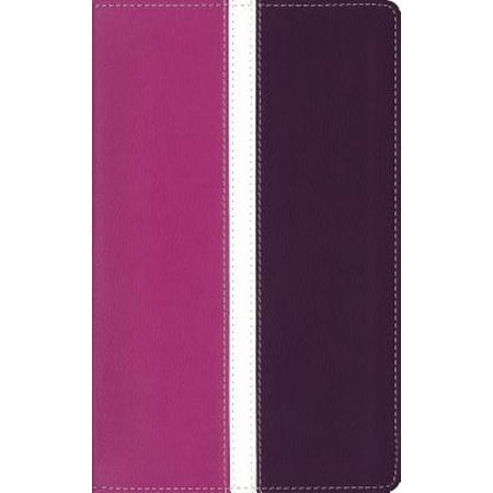 Amplified Bible