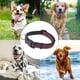 thumbnail image 5 of La correa del collar para perros, la correa del collar antiladridos y la mayoría de los receptores del collar de choque de entrenamiento son ajustables, 5 of 5