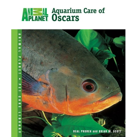 Aquarium Care of Oscars - eBook (Best Food For Oscar Fish Color)