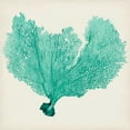thumbnail image 2 of Vision Studio 20x20 White Modern Wood Framed Museum Art Print Titled - Sea Fan VI, 2 of 4