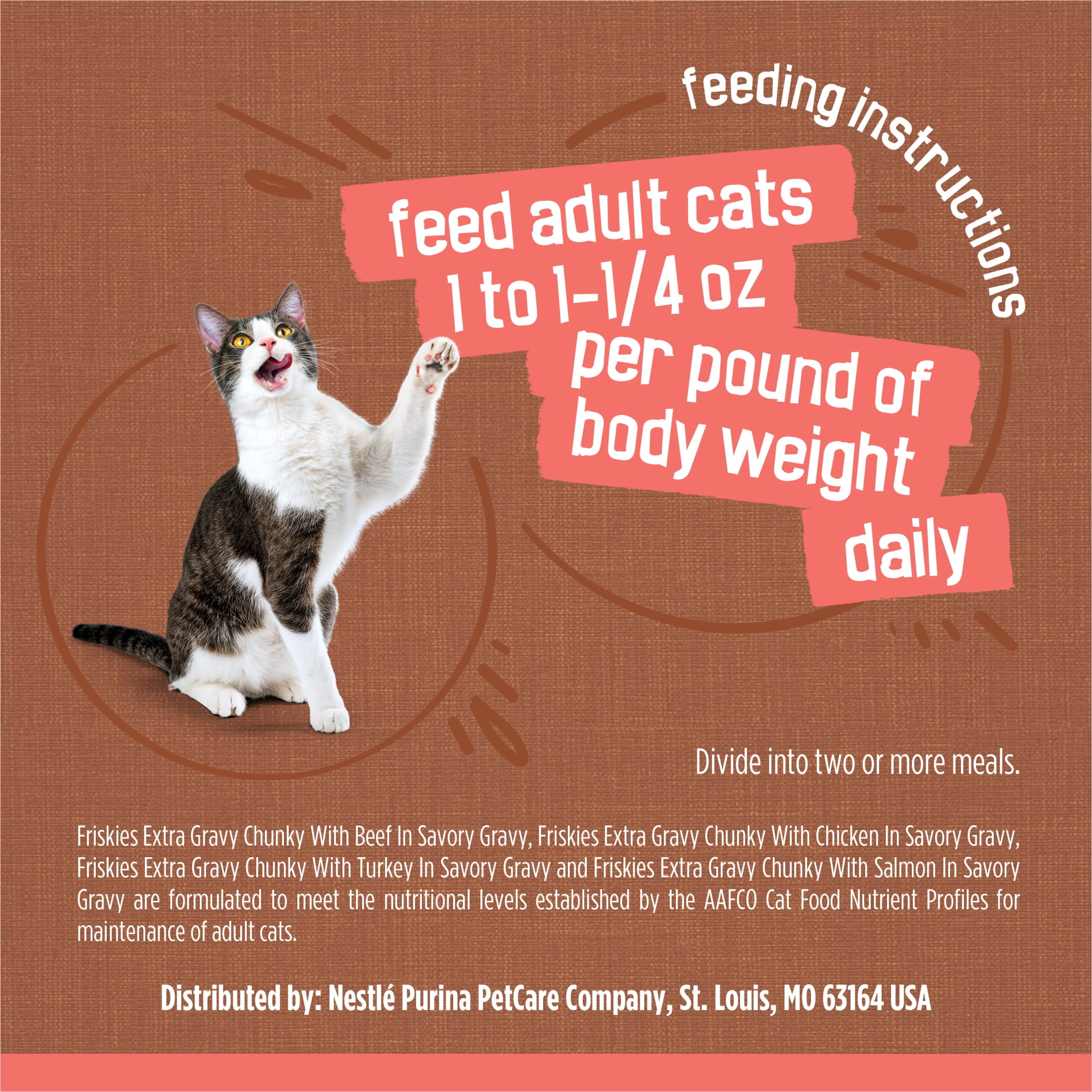 Friskies Extra Gravy Chunky with Salmon in Savory Gravy Canned Cat Food Friskies Extra Gravy Chunky with Salmon in Savory Gravy Canned Cat Food