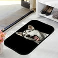 thumbnail image 3 of GZHJMY Bathroom Rugs Mats Non-Slip, Soft Microfiber Absorbent Bath Mats for Shower Bathtubs, Husky Dog Opened Mouth Indoor Entrance Door Mats Bedroom Laundry 31”x20” Carpet Runner, 3 of 7