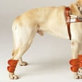 thumbnail image 3 of Soporte para articulaciones de mascotas, 2 piezas, rodilleras para perros y gatos, soporte para piernas para perros, rendimiento confiable, 3 of 8