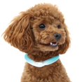 thumbnail image 3 of Collar de enfriamiento para mascotas - Banda de cuello de enfriamiento para mascotas - Collar de hielo para perros y gatos para verano, clima cálido, disipación de calor, collar de enfriamie, 3 of 3