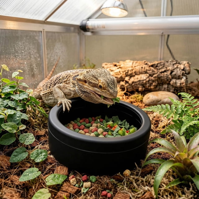 Reptile Feeding Food Gecko And Hamster Easy Clean Food Water Bowl