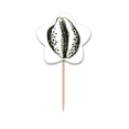 thumbnail image 1 of Black Marine Life Scallop Pattern Toothpick Flags Star Lable Cupcake Picks, 1 of 3
