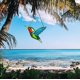 thumbnail image 5 of Teissuly Hummingbird Stained Glass Birds Window Hangings, Stained Glass Decorations,Bird Suncatcher for Window Decor Hummingbird Gifts for Mom,Bird Lovers Teissuly WER202309200683, 5 of 5