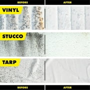 STAR BRITE Mold Stain & Mildew Stain Remover