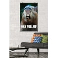 thumbnail image 2 of Capybara - Pull Up Wall Poster, 22.375" x 34", 2 of 3