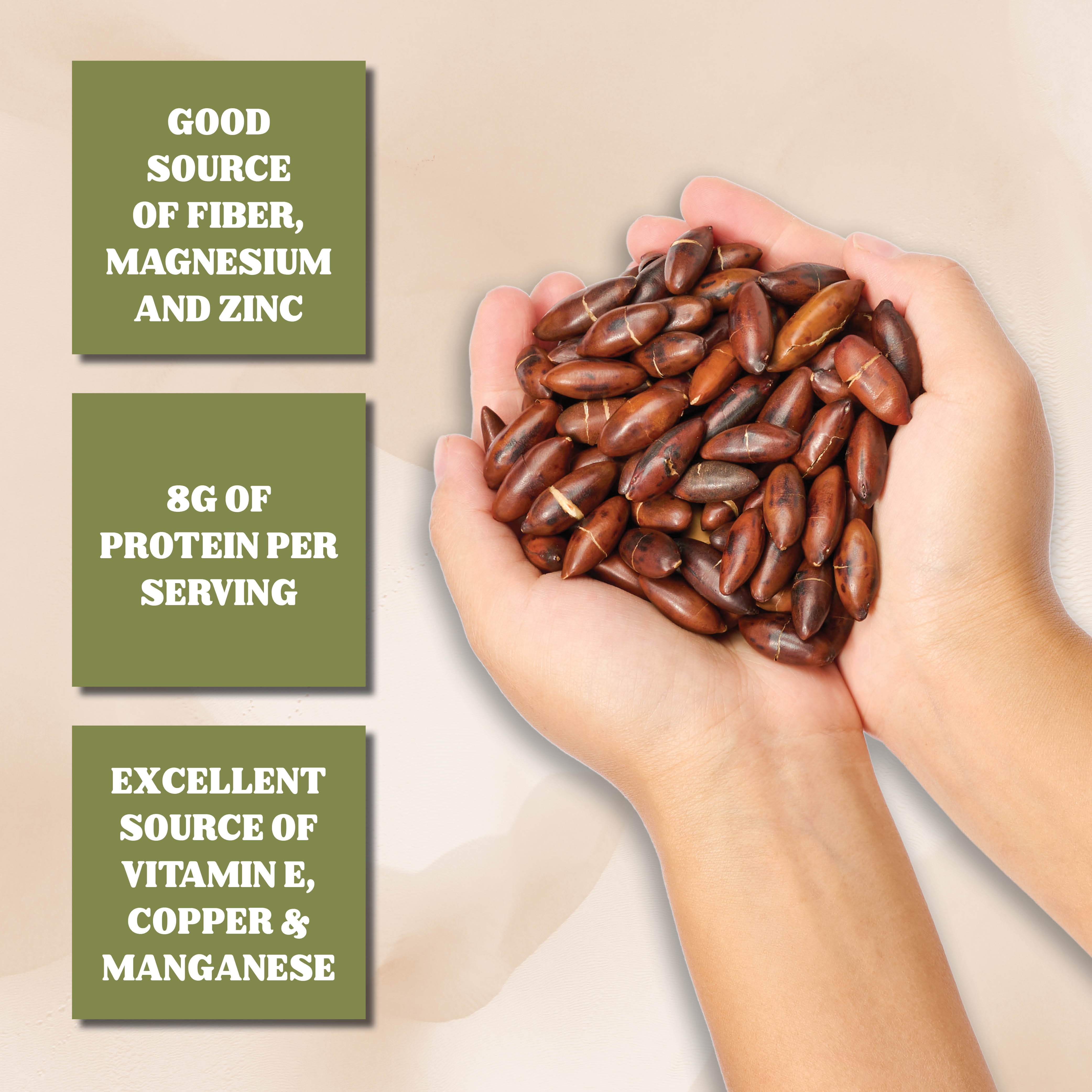 Gourmanity Brazilian Baru Nuts, Complex Nutty Flavor, High in Protein, Vitamin E and Omega 6 & 9, Roasted and Unsalted, 1.5 LB