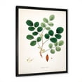 thumbnail image 2 of Designart 'Ancient Plant Life XI' Farmhouse Framed Art Print, 2 of 4