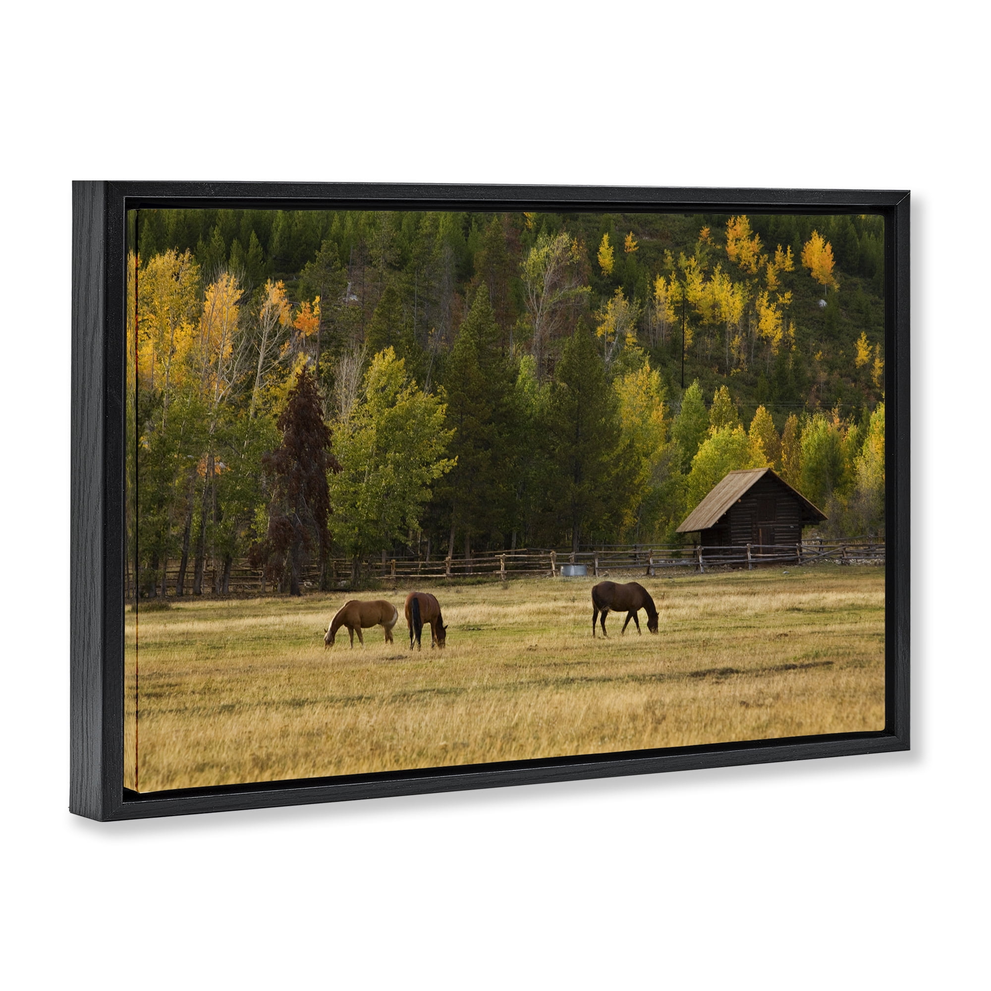 Stupell Industries Horses In Jackson Hole Black Framed Floater Canvas Wall Art, design by Scott Stulberg