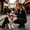 thumbnail image 6 of Gardjoe Not only does this Halloween pet bandana add spooky festive style to your dog or cat, but it also provides comfortable breathable wear that pets love all season long, 6 of 6