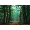 thumbnail image 2 of Podt, Martin 32x23 White Modern Wood Framed Museum Art Print Titled - Road of Mysteries, 2 of 4