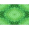 thumbnail image 1 of Ahgly Company Machine Washable Indoor Rectangle Transitional Neon Green Area Rugs, 4' x 6', 1 of 7