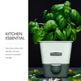 thumbnail image 3 of Cole & Mason Mason Burwell Self-Watering Herb Planter, Indoor Garden Small Planters, 3 of 7