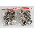 thumbnail image 7 of Pine Cones 36 Pcs, Small Christmas PineCones Hanging Ornament, Snow Pinecones with String for Christmas Tree Gift Tag Party Decoration (Snow,1.18-1.57 Inch), 7 of 7