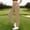Khaki, variant on Wovilon Women's Stretch Travel Ankle Pants High Waisted Golf Trousers with Pockets Lightweight Quick Dry Casual Workout Bottoms for Summer Outdoor Activities