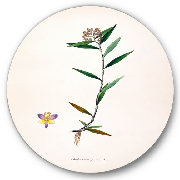 Designart 'Ancient Botanicals XIX' Farmhouse Circle Metal Wall Art 36x36 - Disc of 36