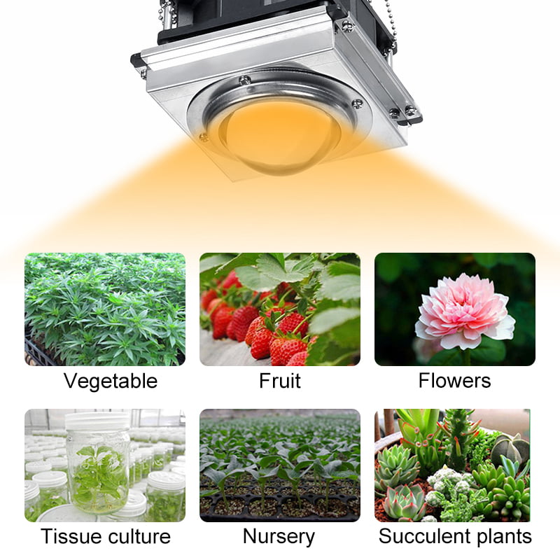 3000W 144 LED COB Grow Light Bulb Full Spectrum Growth Lamp Hydroponic Plant 
