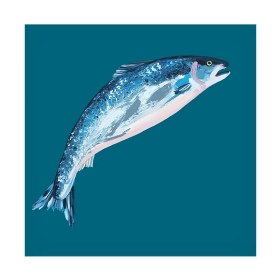 Trademark Fine Art Alice Straker  Leaping Salmon Canvas Wall Art