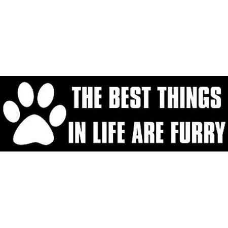 The Best Things In Life Are FURRY Sticker Decal(funny dog cat pet four) Size: 3 x 9 (Best Things For Cats)