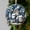 F, variant on Christmas Clearance Sales! Yyuenw 2024 Christmas Hanging Christmas Gifts For Family Colleagues Christmas Tree Round Decoration Christmas Decorations on Clearance