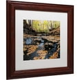 thumbnail image 2 of Trademark Fine Art "Lakeview Autumn Falls" Canvas Art by Kurt Shaffer White Matte, Wood Frame, 2 of 4