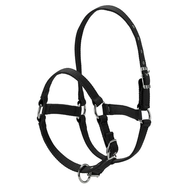 Cheval Head Collar Épaissi 6MM Bride de Sécurité Réglable Collier de Tête