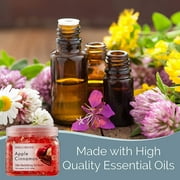 SMELLS BEGONE 12 oz Odor Eliminator Gel - Air Freshener- Absorbs & Eliminates Odor in Bathrooms, Basements, Cars, Boats, RVs & Pet Areas - Made with Essential Oils - Apple Cinnamon Scent (2-Pack)